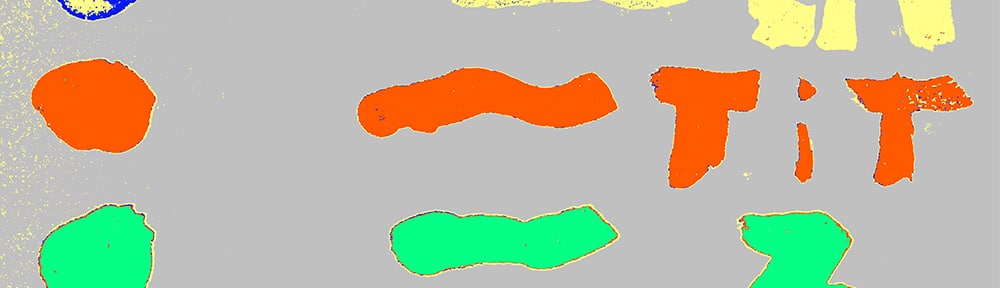 Scientific Art Examination