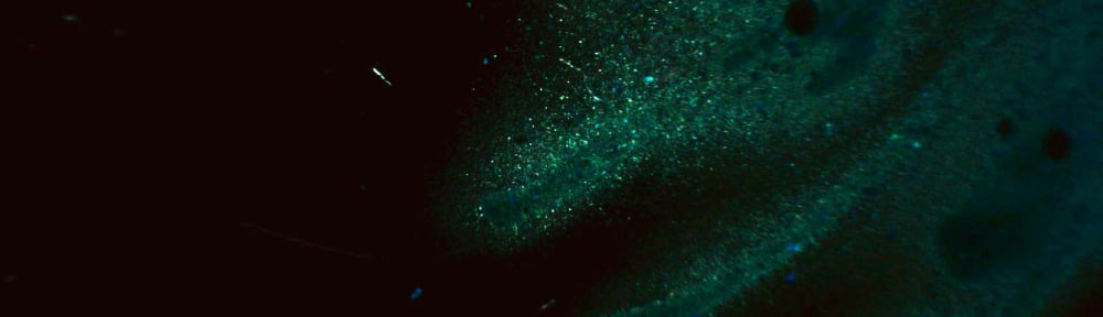 Scientific Art Examination