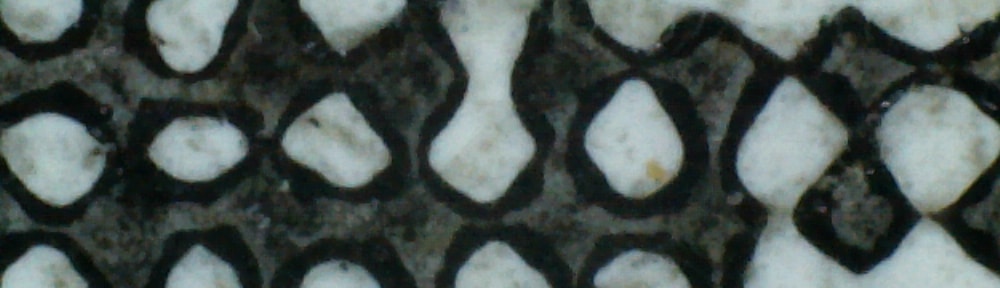 halftones Scientific Art Examination