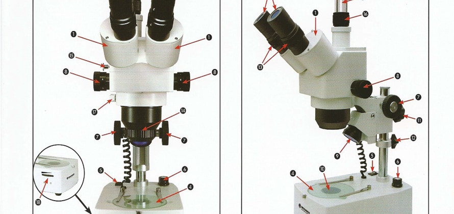 stereo microscope for art